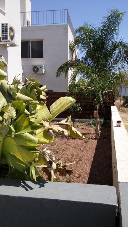 Palms Resort Apartments Alethriko Rum bild